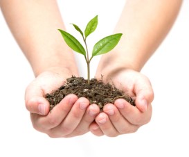 shutterstock_10611928_2