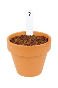 shutterstock_88714369